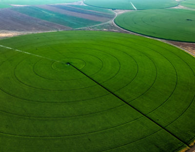 Ideal growing conditions