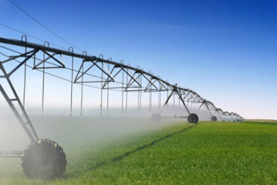 A farm being irrigated with a center pivot sprinkler system