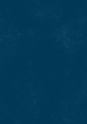 navigation blue background with skin texture