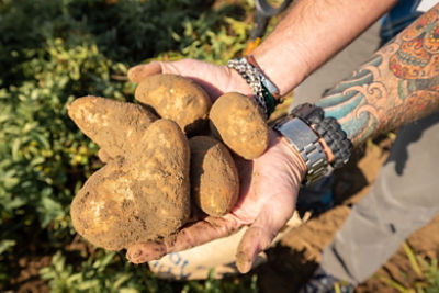 FIELD SHOT OF CHEF ANDRAE HOLDING POTATOES