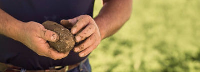 Holding Potatoes
