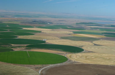 Farm Land