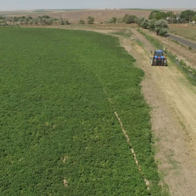 Tractor in Field