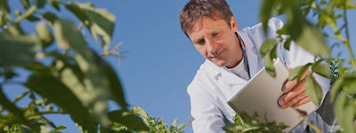 A male scientist in a white lab coat examines green plants in an outdoor field.
