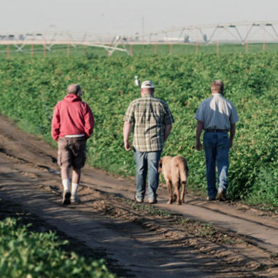 Johnson Farmers Walking in a Field