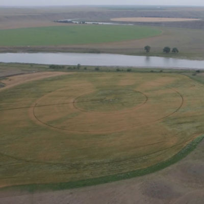 Field