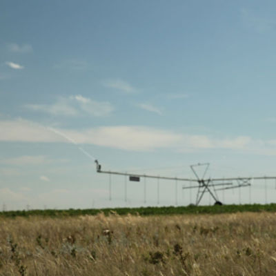 Watering Field