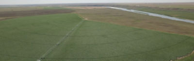 Field