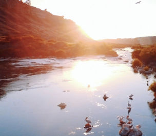 Snake River Valley