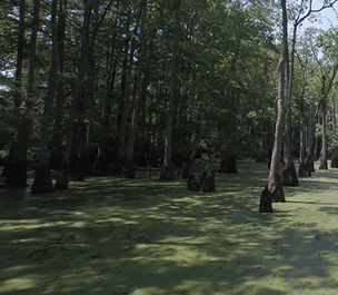 Southern Mississippi River Basin
