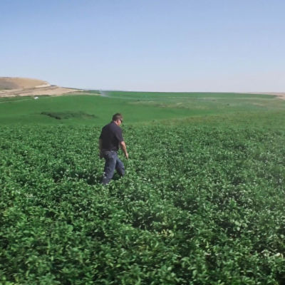 Farmer in Field