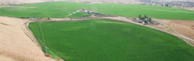 Tschirky Farms