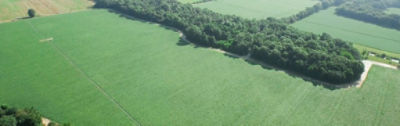 Black Gold Farm