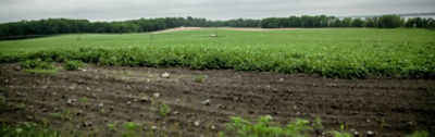 Warmbold Farm